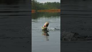 Chilly temps may be cooling off the bass bite up north, but down south, the bass are still fired up!