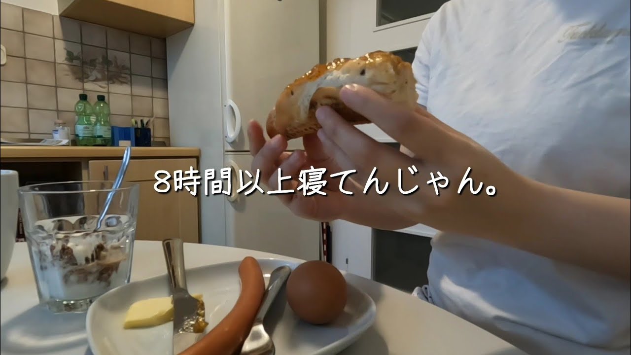 本編ではカットしたヨーロッパ旅行中の食事シーンまとめ【ドイツ、チェコ、オーストリア編】