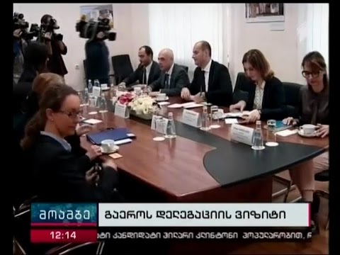 გაერო-ს სპეციალური მომხსენებელი საგარეო საქმეთა მინისტრმა მიიღო