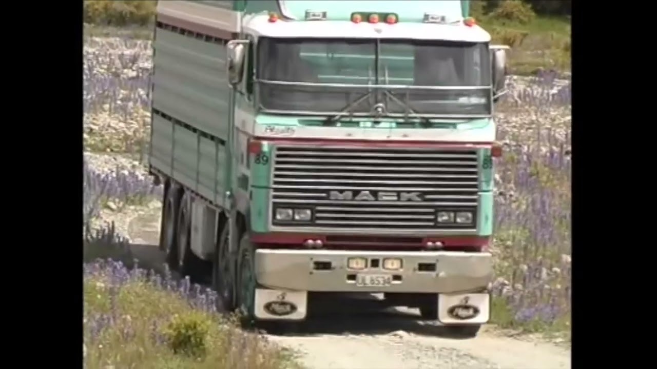 Mack MAN Scania hauling bulls in New Zealand's largest high country station - Molesworth