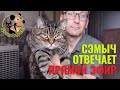 Ответы на ваши вопросы о кошках и собаках | Ветеринар и кот Сэмыч в эфире 29.01.22