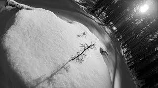 Baiului Mountains - a winter walk