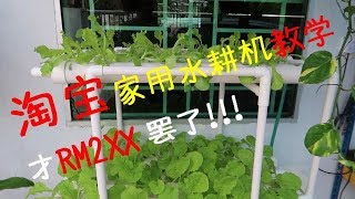 淘宝家用水耕机教学 | Home hydroponic Tutorial