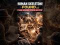 Human Skeletons Found… Then Erased From History