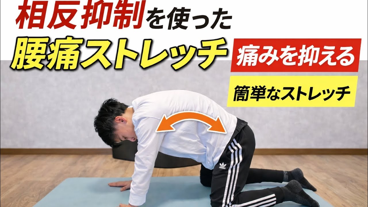 【腰痛の方必見！】腰のストレッチ