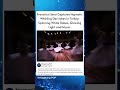 Francisco Seco Captures Hypnotic Whirling Dervishes in Turkey: Spinning White Robes, Glowing Light a
