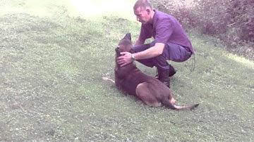 Zoeken(surching).MOV