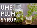 [ASMR] UME PLUM SYRUP | RECIPE | Takoshiho Cooks Japan
