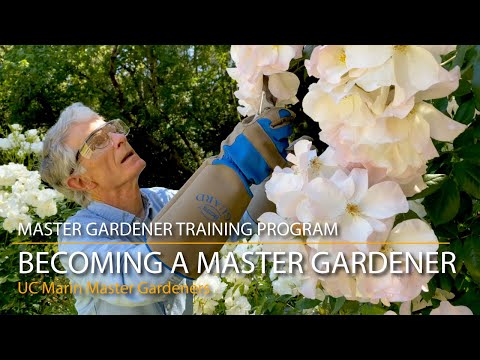 Vídeo: Master Gardening Programs - Como se tornar um mestre jardineiro