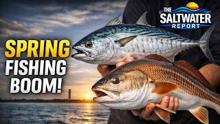 North Carolina Saltwater Fishing Conditions - Latest Report