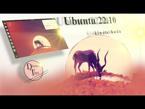 Ubuntu.Ubuntu 22.10 beta.Ubuntu review.He's back. Very handsome.
