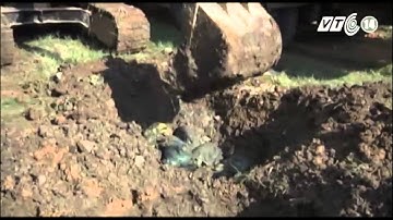 VTC14_Xử lý toàn bộ rác thải y tế bị chôn lấp trái phép