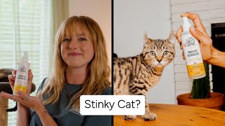 Skout's Honor Cat Probiotic Daily Use Deodorizer Honeysuckle
