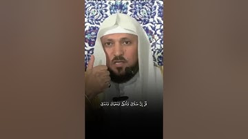 تلاوة من القرآن الكريم بصوت الشيخ ماهر المعيقلي | سورة الأنعام من آية ١٦٢ إلى آية ١٦٣ | تلاوة جميلة
