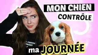 MON CHIEN CONTRÔLE MA JOURNÉE