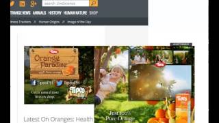 Tipco Online Advertisement - Sidekick