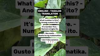 English tagalog translation #translation #knowledge #learn #learning