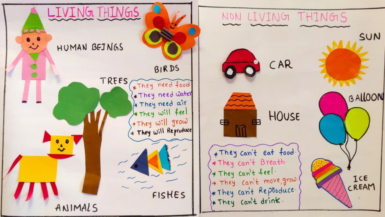 Living and Non Living things project / How to draw living and non ...