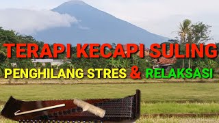 Download Terapi Kecapi Suling | Dengan Suasana Keindahan Alam Pesawahan Video MP3 Terapi Kecapi Suling | Dengan Suasana Keindahan Alam Pesawahan