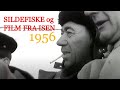 SILDEFISKE og film fra isen - 1956.