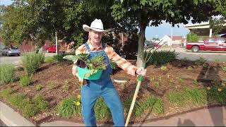 Learn about El Dorado's Farmers Market and more