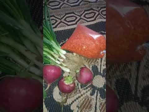 اغنيه العدس 2021 