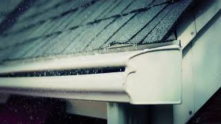 Spring Pest and Moisture Prevention in Dallas: Home Inspection Tips to Protect Your Property