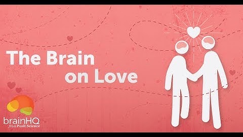 The Brain on Love
