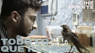 Cine aparte • Todo lo que respira