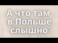 Что новенького в Польше. "В воздухе пахнет грозой..."