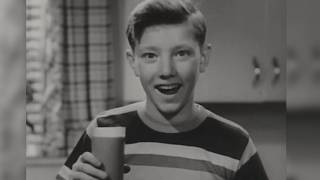 Old Vintage Commercials | 1950s & 1960s Style Sweet DOO WOP Song