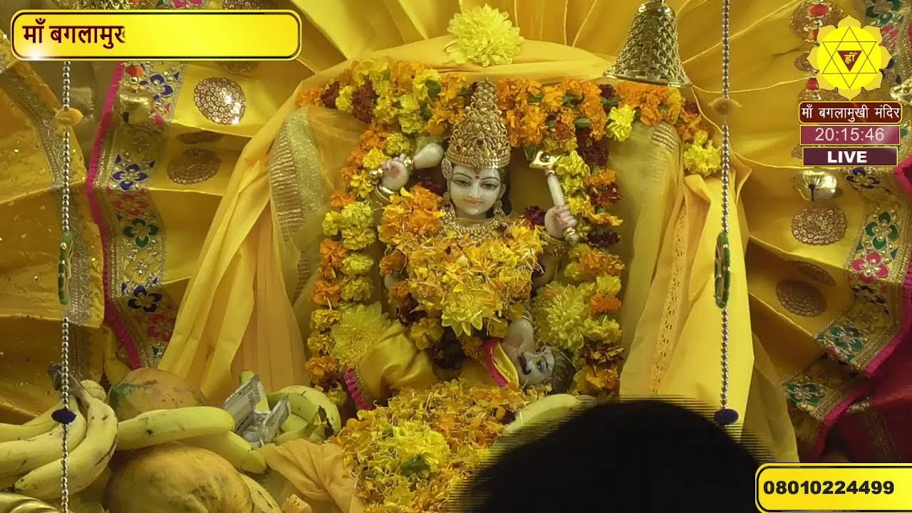 Maa Baglamukhi Mandir Live Stream