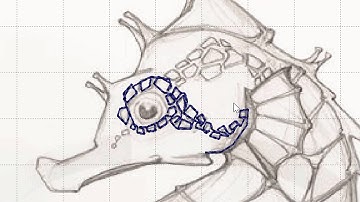 Digitizing the Seahorse - Part 4 - Digitizing the outline using Hatch Embroidery