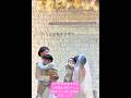 パパが大好きすぎる♡何度もぎゅーっと抱きつく姿に会場中がほっこり.#結婚式 #結婚 #dressy花嫁 #カップル #shortvideo #short