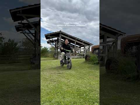 Куда готовы поехать