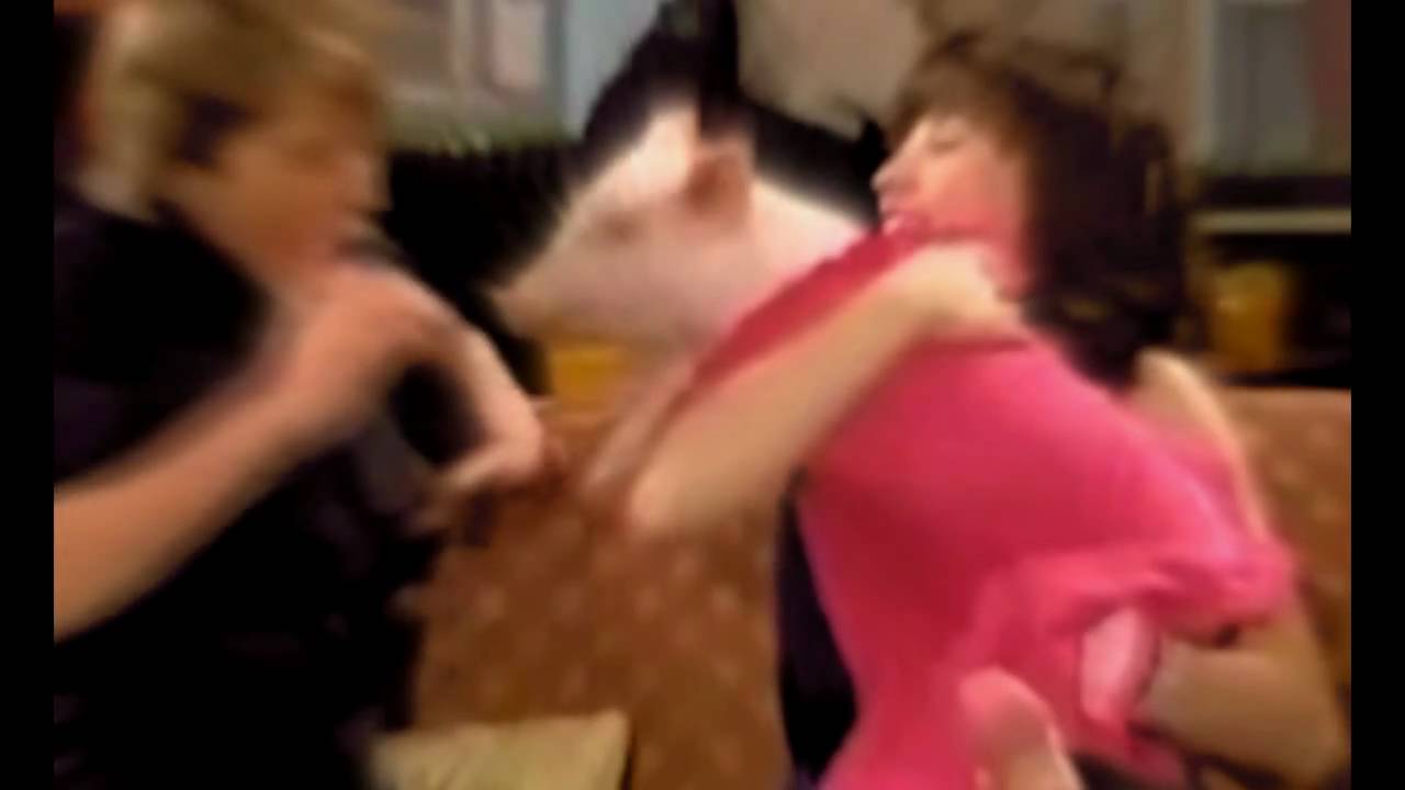 Sonny && Chad// Never Quite That Innocent