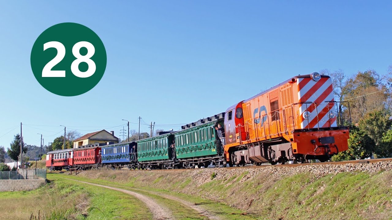 Buzinadelas de Comboios 28 | Train Horn Compilation 28