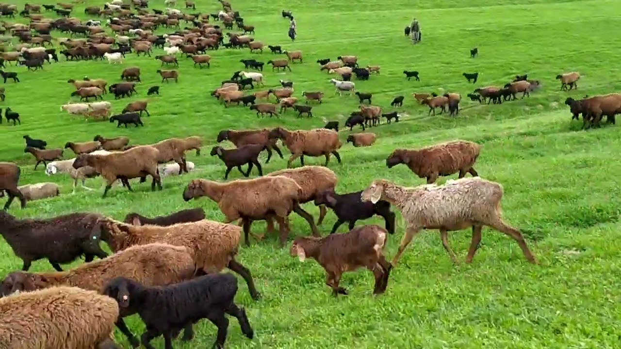 #Таджикистан