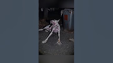 Skinwalker Disguised As Animals ☢️ PRT-99 #viral #ytshorts