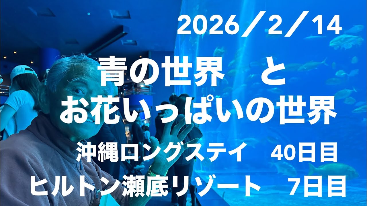 お天気続きの沖縄でまったりとしています。ヒルトン瀬底リゾートさんの好意で青の世界と、花いっぱいの世界に行って来ました☆そして土曜日恒例の花火も満喫！リゾートホテルで癒されています。避寒沖縄まったりです