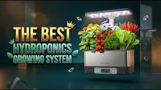 Best Hydroponics Growing System