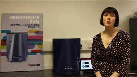 GeneGnome XRQ Tutorial