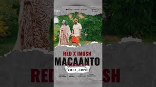 Red X Imosh   Macaanto  Coming Soon