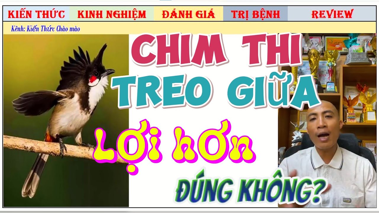 Chim đi Thi Đấu móc giữa giàn lợi thế hơn Biên đúng không? Vì sao!