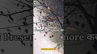 Khushi ka Simple Formula: Past, Present aur Future ✨| Sunday SpecialZindagi,Bharosa Karna Seekho 🕊️.