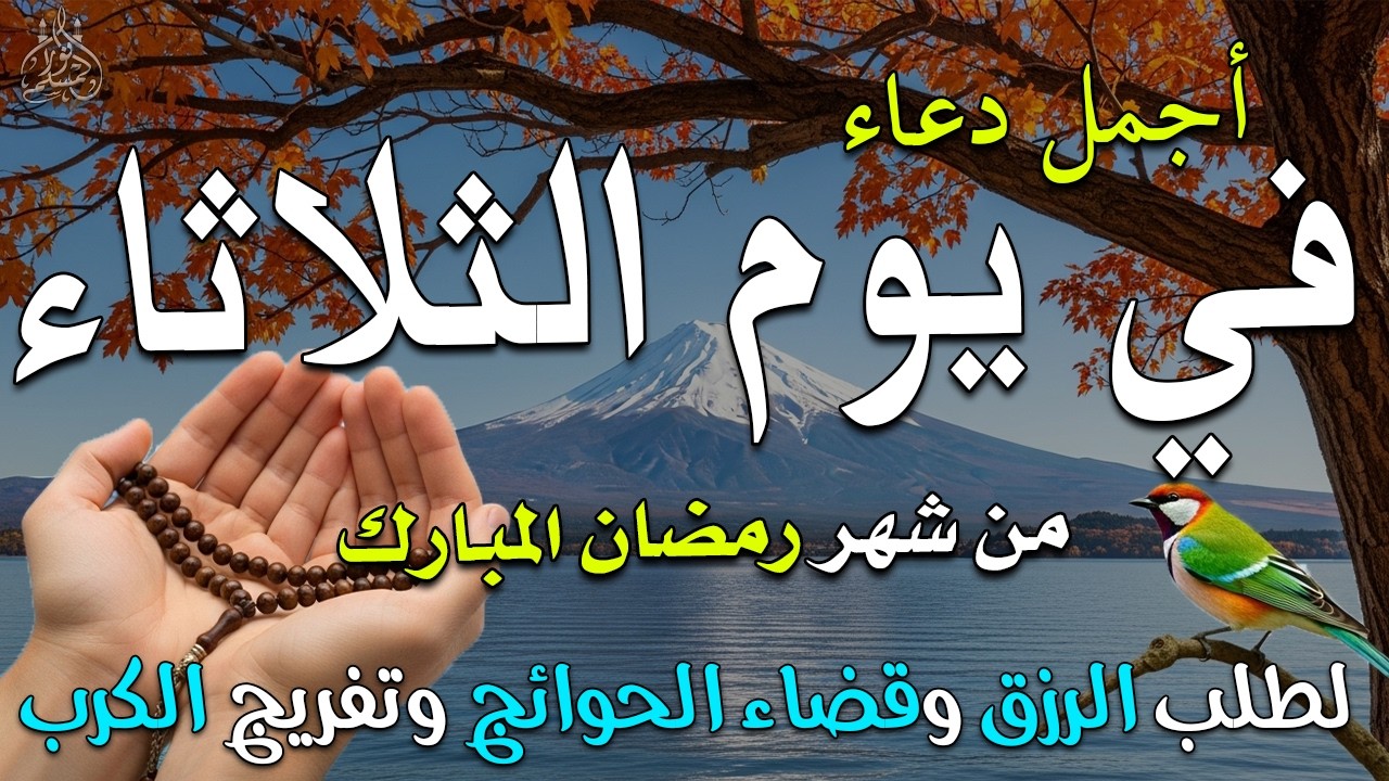 دعاء فى يوم الثلاثاء المستجاب دعاء فى يوم 20 من شهر رمضان للرزق والشفاء العاجل وقضاء الحوائج 🤲(4k)