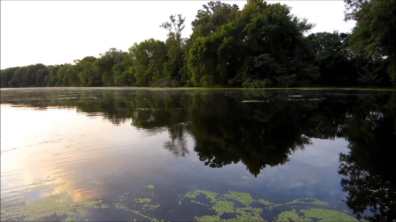 Fishing the Apple River in Amery Wisconsin YouTube