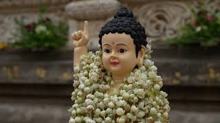2024 Wesak Day @Maha Bodhi Temple Day