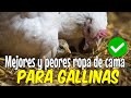 Mejores y peores ropa de cama para gallinas 🐔