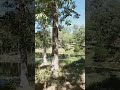 Welcome to out family's get away spot!! #outside #nature #beautiful